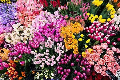 《逆转裁判456：王泥喜精选集》明年1月25日发售 登陆多平台